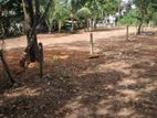 Land for Sale in Pasyala Kalalpitiya