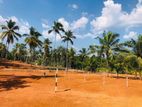 Land for Sale in Pasyala M07
