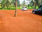 Land for Sale in Pasyala Veyangoda Y 66