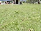 Land for Sale in පොකුණුවිට