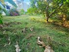 Land For Sale in Pelanwatta Pannipitiya