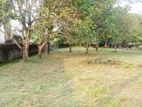 Land for Sale in Pelawatta Battaramulla