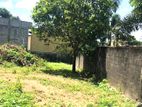 Land for Sale in Pelawatta