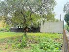 Land for Sale in Pelawatta