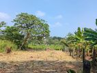 Land for Sale in Pelawatta