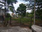 Land for Sale in Pelawatta