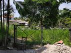 Land for Sale in Pelawatta