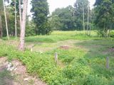 Land for Sale in Pelanwatta, Pannipitiya