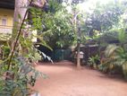 Land For Sale in Peliyagoda