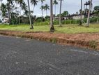 Land for Sale in Pellandeniya