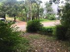 Land for Sale in Peradeniya