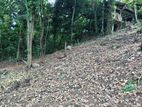 Land for Sale in Peradeniya