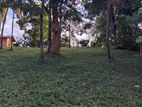 Land for Sale in Peradeniya
