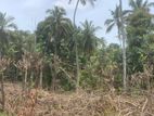 Land for sale in Peradeniya -Gelioya