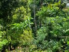 Land for Sale in Peradeniya, Kandy