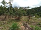 Land for Sale in Peradeniya - Pethiyagoda