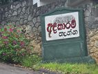 Land For Sale in Peradeniya - Pilimathalawa (adikaramthenna scheme)