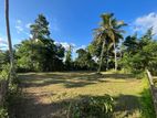 Land For Sale In Piduruwella / Rathmale