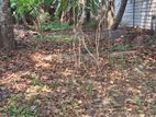 Land for Sale in Pilapitiya, Kelaniya
