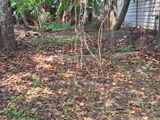 Land for Sale in Pilapitiya, Kelaniya