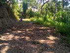 Land for Sale in Pilawala Kundasale