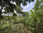 Land for Sale in Pilimatalawa
