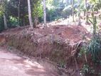 Land for Sale in Pilimathalawa City Limit