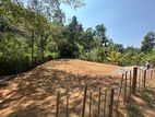 Land for Sale in Pilimathalawa