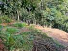 Land for Sale in Pilimathalawa