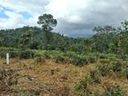 Land for Sale in Pilimathalawa