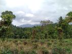Land for Sale in Pilimathalawa