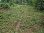 Land for Sale in Pilimathalawa