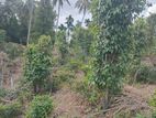 Land for sale in Pilimathalawa