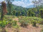 Land for Sale in Pilimathalawa