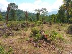 Land for Sale in Pilimathalawa