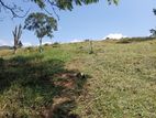 Land for Sale in Pilimathalawa