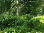 Land For Sale in Pilimathalawa