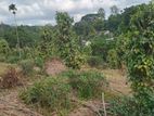 Land for sale in Pilimathalawa