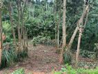 Land for Sale in Pilimathalawa