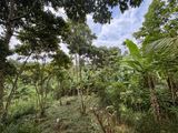 Land for Sale in Pilimathalawa