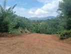 Land for Sale in Pilimathalawa