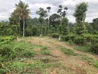 Land for Sale in Pilimathlawa