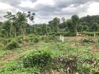 Land for Sale in Pilimathlawa