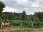 Land for sale in Pilimathlawa