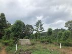 Land for Sale in Pilimathlawa