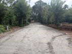 Land for Sale in Pilimthalawa
