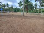 Land for sale in piliyadala