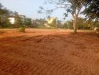 Land for sale in Piliyadala