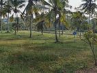 Land for Sale in Piliyadala