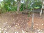 Land for Sale in Piliyandala 12 P